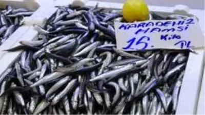 Karadeniz hamsisine yoğun ilgi Karadeniz hamsisine yoğun ilgi