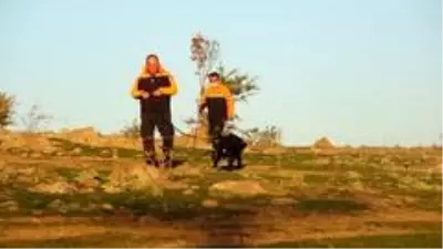 Kaybolan yaşlı kadın için arama ve kurtarma çalışmaları başladı Kaybolan yaşlı kadın için arama ve kurtarma çalışmaları başladı