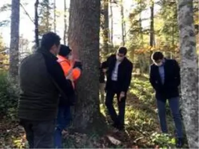 Kaymakam Erdem ve cumhuriyet savcıları ormanda damga ve üretim faaliyetlerini inceledi Kaymakam Erdem ve cumhuriyet savcıları ormanda damga ve üretim faaliyetlerini inceledi