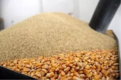 Korona virüs boza satışlarını arttırdı Korona virüs boza satışlarını arttırdı