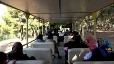 Koronalı günlerin stresini safari ile atıyorlar Koronalı günlerin stresini safari ile atıyorlar