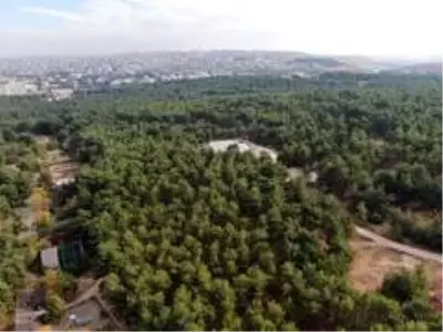 Koronalı günlerin stresini safari ile atıyorlar Koronalı günlerin stresini safari ile atıyorlar