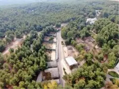 Koronalı günlerin stresini safari ile atıyorlar Koronalı günlerin stresini safari ile atıyorlar