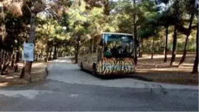 Koronalı günlerin stresini safari ile atıyorlar Koronalı günlerin stresini safari ile atıyorlar