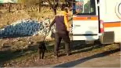 Köyünde yalnız yaşayan yaşlı kadın kayboldu Köyünde yalnız yaşayan yaşlı kadın kayboldu