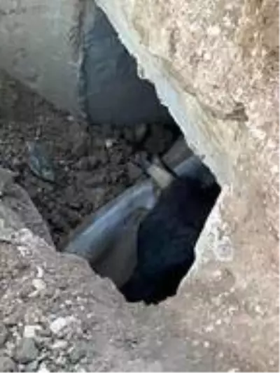 Menfezde sıkışan 5 inek kurtarıldı Menfezde sıkışan 5 inek kurtarıldı