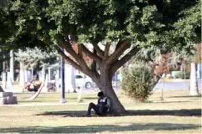 Mersin'de yazdan kalma günler yaşanıyor Mersin'de yazdan kalma günler yaşanıyor