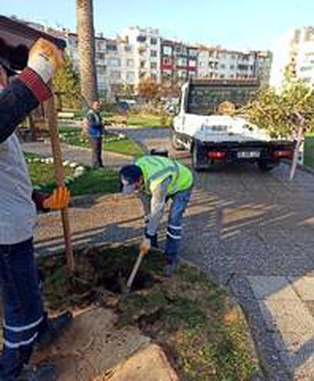 Mudanya Tekel Parkında kuruyan ağaçlar yenilendi