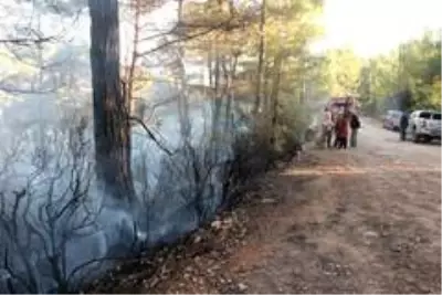 - Muğla'da orman yangını - Muğla'da orman yangını