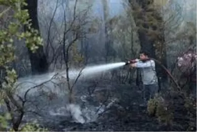 - Muğla'da orman yangını - Muğla'da orman yangını