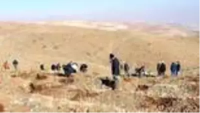 Öğretmenler için oluşturulan hatıra ormanına ilk fidanlar dikildi Öğretmenler için oluşturulan hatıra ormanına ilk fidanlar dikildi