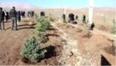 Öğretmenler için oluşturulan hatıra ormanına ilk fidanlar dikildi Öğretmenler için oluşturulan hatıra ormanına ilk fidanlar dikildi