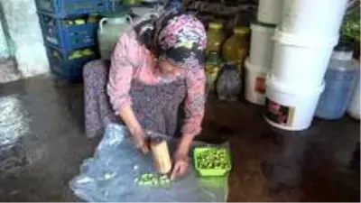 Okuyan çocuğu ve engelli eşi için zeytincilik işine girdi, şimdi yılda 6 ton zeytin satıyor Okuyan çocuğu ve engelli eşi için zeytincilik işine girdi, şimdi yılda 6 ton zeytin satıyor