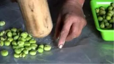 Okuyan çocuğu ve engelli eşi için zeytincilik işine girdi, şimdi yılda 6 ton zeytin satıyor Okuyan çocuğu ve engelli eşi için zeytincilik işine girdi, şimdi yılda 6 ton zeytin satıyor