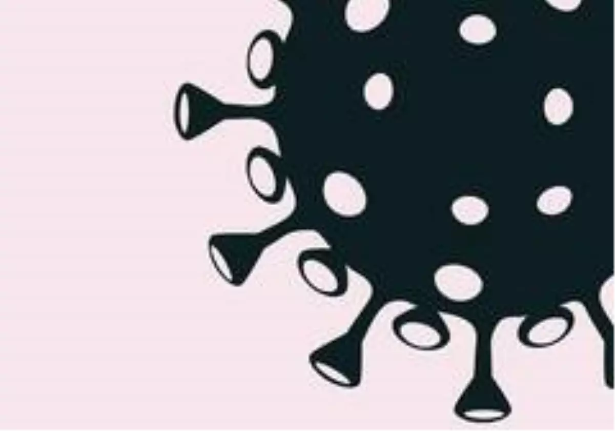 Pakistan'da Covid-19 can kabı sayısında günlük rekor