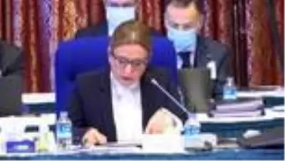 Pekcan: '8 farklı ülke ile daha resmi düzeyde Ortak Komite ve Komisyon toplantılarının tamamlanması hedeflenmektedir' Pekcan: '8 farklı ülke ile daha resmi düzeyde Ortak Komite ve Komisyon toplantılarının tamamlanması hedeflenmektedir'