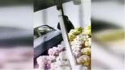 Şanlıurfa'da otomobilden cep telefonu hırsızlığı güvenlik kamerasına yansıdı Şanlıurfa'da otomobilden cep telefonu hırsızlığı güvenlik kamerasına yansıdı