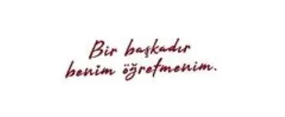 'Bir Başkadır Benim Memleketim' şarkısı öğretmenler için uyarlandı 'Bir Başkadır Benim Memleketim' şarkısı öğretmenler için uyarlandı
