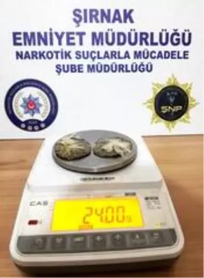 Şırnak'ta kaçakçılık operasyonu: 25 gözaltı Şırnak'ta kaçakçılık operasyonu: 25 gözaltı