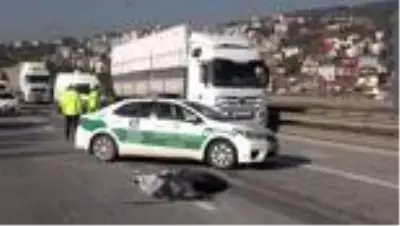 Son dakika: TEM'de feci kaza...Otomobilinden indi, tırın altında kalarak feci şekilde can verdi Son dakika: TEM'de feci kaza...Otomobilinden indi, tırın altında kalarak feci şekilde can verdi