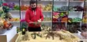 Ramazan Özdemir: Toroslar'da ayaklar altında ezilen otları boyayıp 10 ülkeye ihraç ediyor Ramazan Özdemir: Toroslar'da ayaklar altında ezilen otları boyayıp 10 ülkeye ihraç ediyor