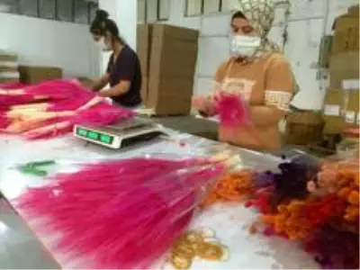 Toroslar'da ayaklar altında ezilen otları boyayıp 10 ülkeye ihraç ediyor Toroslar'da ayaklar altında ezilen otları boyayıp 10 ülkeye ihraç ediyor