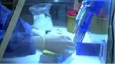 Uzmanlar evde yapılan hızlı testler konusunda uyardı: Tanı koymada güvenilir değil Uzmanlar evde yapılan hızlı testler konusunda uyardı: Tanı koymada güvenilir değil