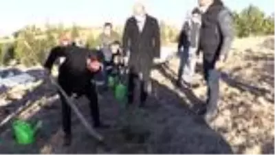 Vefat eden ve yeni doğanlar için dikilen fidanlara can suyu Vefat eden ve yeni doğanlar için dikilen fidanlara can suyu