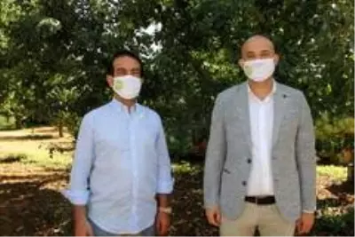 Antalya'daki 'Zeytin Mektebi', yerli ve yabancı 20 bin kişiye ulaştı Antalya'daki 'Zeytin Mektebi', yerli ve yabancı 20 bin kişiye ulaştı