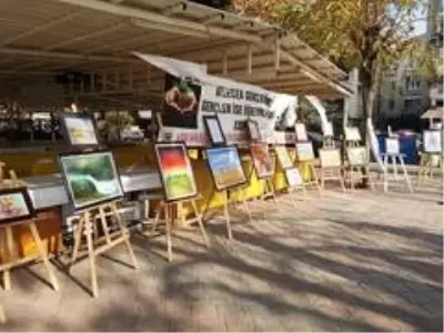 100 yaşından sonra yapmaya başladığı resimlerle öğrencilere burs sağladı 100 yaşından sonra yapmaya başladığı resimlerle öğrencilere burs sağladı