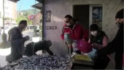 15 liradan satılan hamsinin kilosunun 3 TL'ye düştüğünü duyunca balıkçıya akın ettiler 15 liradan satılan hamsinin kilosunun 3 TL'ye düştüğünü duyunca balıkçıya akın ettiler