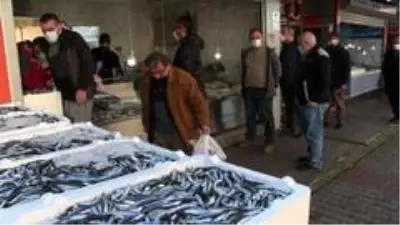 15 liradan satılan hamsinin kilosunun 3 TL'ye düştüğünü duyunca balıkçıya akın ettiler 15 liradan satılan hamsinin kilosunun 3 TL'ye düştüğünü duyunca balıkçıya akın ettiler
