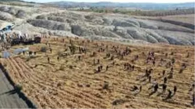 30 bin öğretmen için 30 bin fidanı toprakla buluşturdu 30 bin öğretmen için 30 bin fidanı toprakla buluşturdu