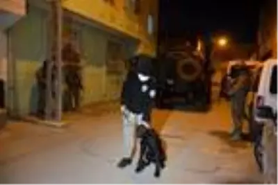 Adana'da şafak vakti uyuşturucu operasyonu Adana'da şafak vakti uyuşturucu operasyonu