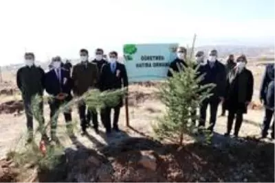 Ahlat'ta 'Öğretmen Hatıra Ormanı' oluşturuldu Ahlat'ta 'Öğretmen Hatıra Ormanı' oluşturuldu