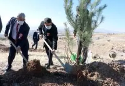 Ahlat'ta 'Öğretmen Hatıra Ormanı' oluşturuldu Ahlat'ta 'Öğretmen Hatıra Ormanı' oluşturuldu