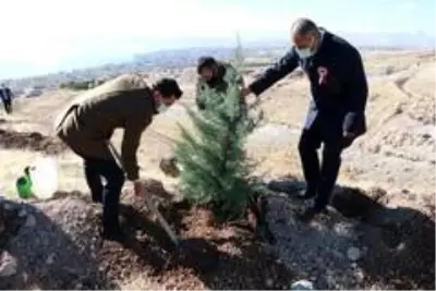 Ahlat'ta 'Öğretmen Hatıra Ormanı' oluşturuldu Ahlat'ta 'Öğretmen Hatıra Ormanı' oluşturuldu