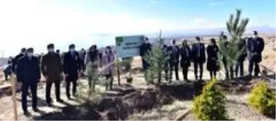 Ahlat'ta 'Öğretmen Hatıra Ormanı' oluşturuldu Ahlat'ta 'Öğretmen Hatıra Ormanı' oluşturuldu