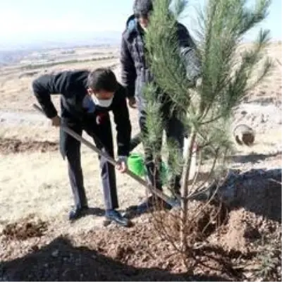 Ahlat'ta 'Öğretmen Hatıra Ormanı' oluşturuldu Ahlat'ta 'Öğretmen Hatıra Ormanı' oluşturuldu
