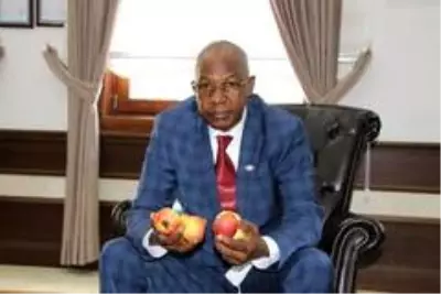 Amasya elmasına Afrika'dan talip çıktı Amasya elmasına Afrika'dan talip çıktı