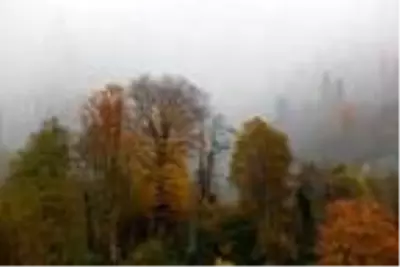 Artvin'de sonbahar güzelliği Artvin'de sonbahar güzelliği
