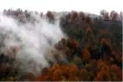 Artvin'de sonbahar güzelliği Artvin'de sonbahar güzelliği