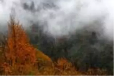 Artvin'de sonbahar güzelliği Artvin'de sonbahar güzelliği