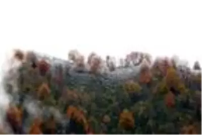 Artvin'de sonbahar güzelliği Artvin'de sonbahar güzelliği