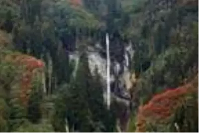 Artvin'de sonbahar güzelliği Artvin'de sonbahar güzelliği