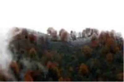 Artvin'de sonbahar güzelliği Artvin'de sonbahar güzelliği