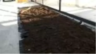 Son dakika haberi... Bakan Kurum, Kompost Geri Dönüşüm Tesisi'nde incelemelerde bulundu Son dakika haberi... Bakan Kurum, Kompost Geri Dönüşüm Tesisi'nde incelemelerde bulundu