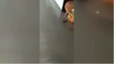 Bodrum'da içme suyu hattındaki patlama nedeniyle iş yerlerini su bastı Bodrum'da içme suyu hattındaki patlama nedeniyle iş yerlerini su bastı
