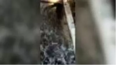 Bodrum'da içme suyu hattındaki patlama nedeniyle iş yerlerini su bastı Bodrum'da içme suyu hattındaki patlama nedeniyle iş yerlerini su bastı