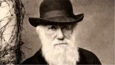 Charles Darwin: Doğa bilimcinin milyonlarca dolar değerinde iki defteri 20 yıldır kayıp, Cambridge Üniversitesi 'Muhtemelen çalındılar' diyor Charles Darwin: Doğa bilimcinin milyonlarca dolar değerinde iki defteri 20 yıldır kayıp, Cambridge Üniversitesi 'Muhtemelen çalındılar' diyor